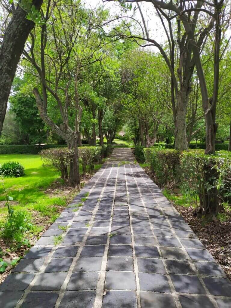 jardines interiores del museo nacional del virreinato